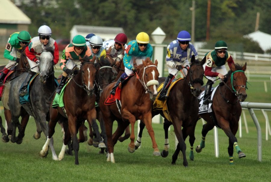 Cavalary charge. Photo by Laurie Asseo.