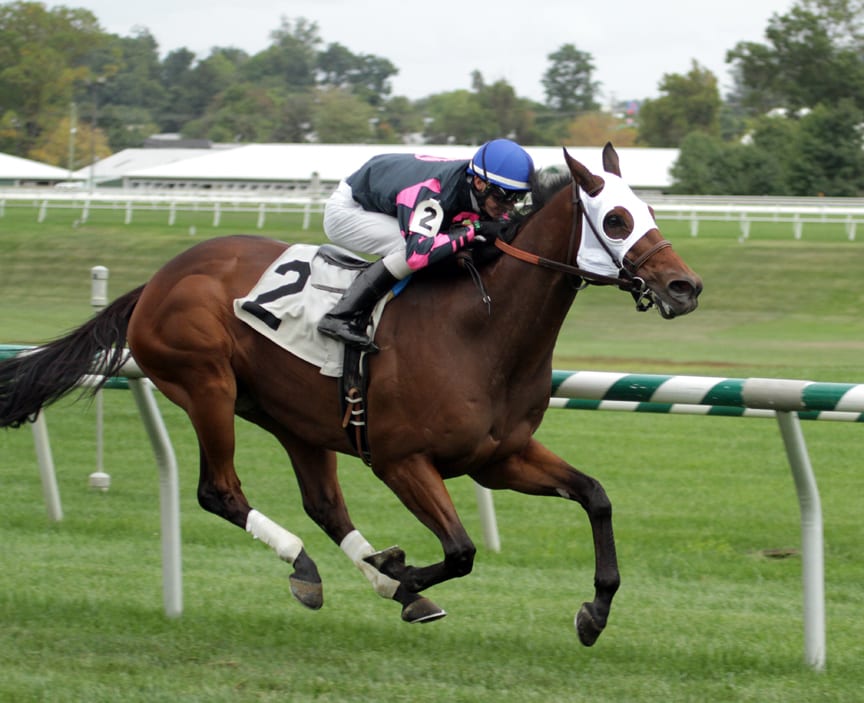 Rose Brier was clearly best in winning a second straight running of the Bert Allen Stakes. Photo by Laurie Asseo.