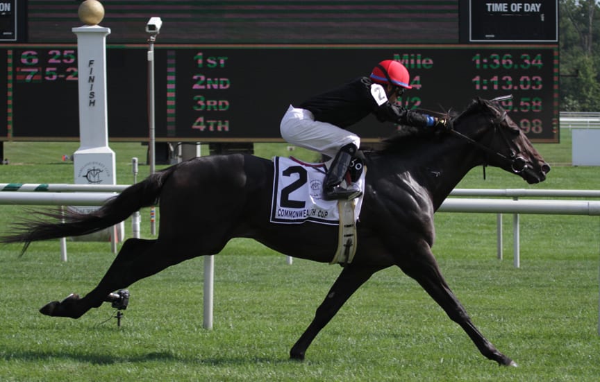 Mr Spaker said "aye" in the G2 Commonwealth Cup today at Laurel Park. Photo by Laurie Asseo.