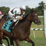 No exaggeration: Exaggerated much the best in Oakley