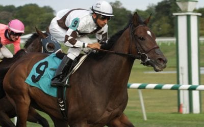 Nick’s Picks for Commonwealth Day at Laurel Park