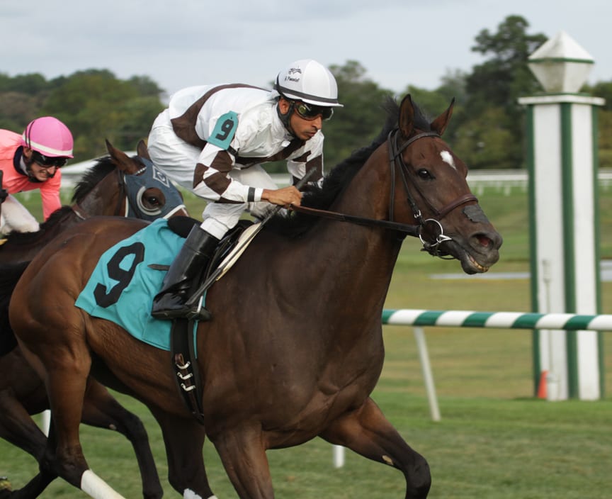 Two Notch Road, under Julian Pimentel, eased home a winner in the Punch Line Stakes. Photo by Laurie Asseo.