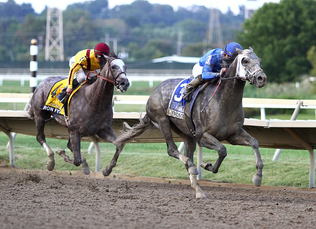 Frosted won the $1 million Pennsylvania Derby on the centerpiece day of the track's Fall Festival. Photo By Taylor Ejdys/EQUI-PHOTO