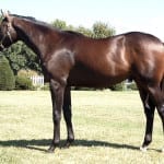 For breeders, perfect’s the enemy of good