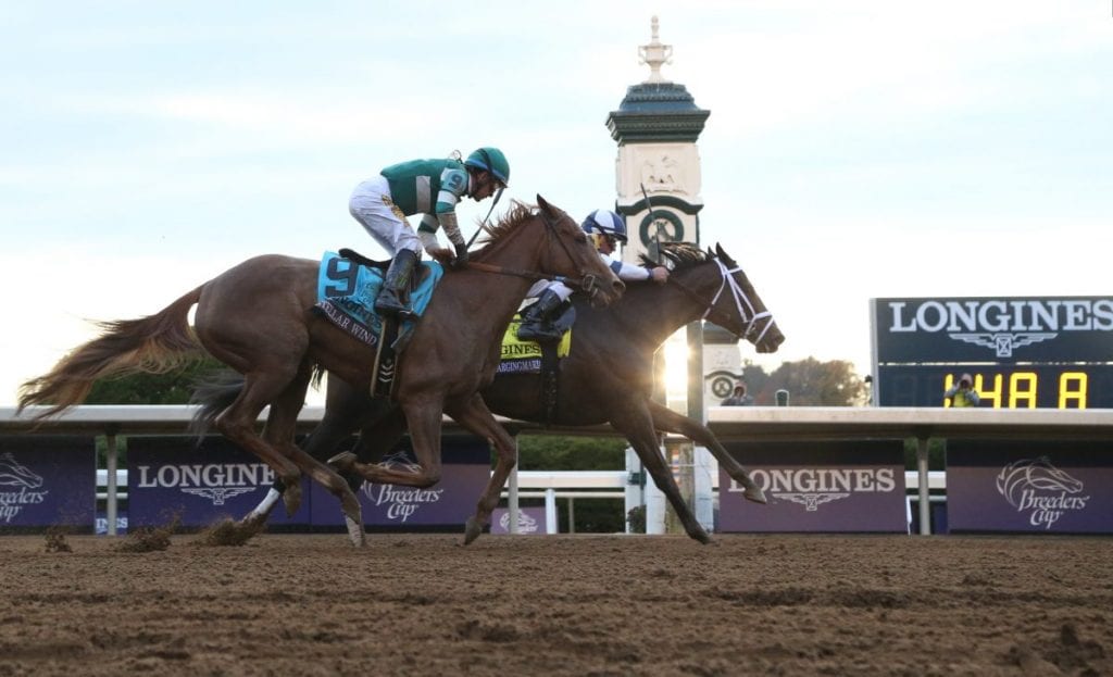 No daylight between Distaff winner Stopchargingmaria and late-closing Stellar Wind. Photo by © Breeders' Cup/Matt Herp2015