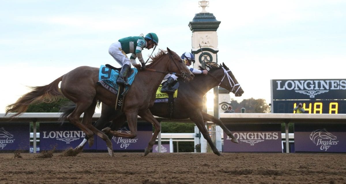 Breeders' Cup rewind Friday's Midlantic results * The Racing Biz