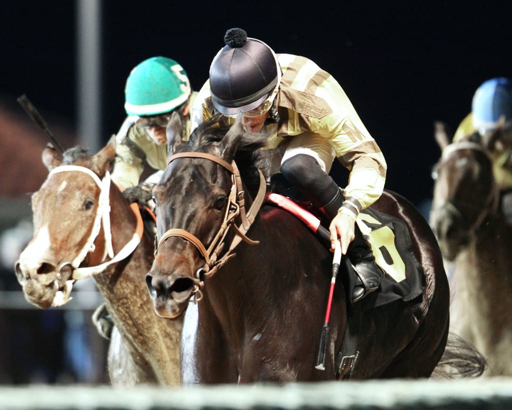 Aye a Song - a horse John McKee bred, owns, and trains - won the Rachel's Turn, a race named for another of his runners. Photo by Coady Photography.