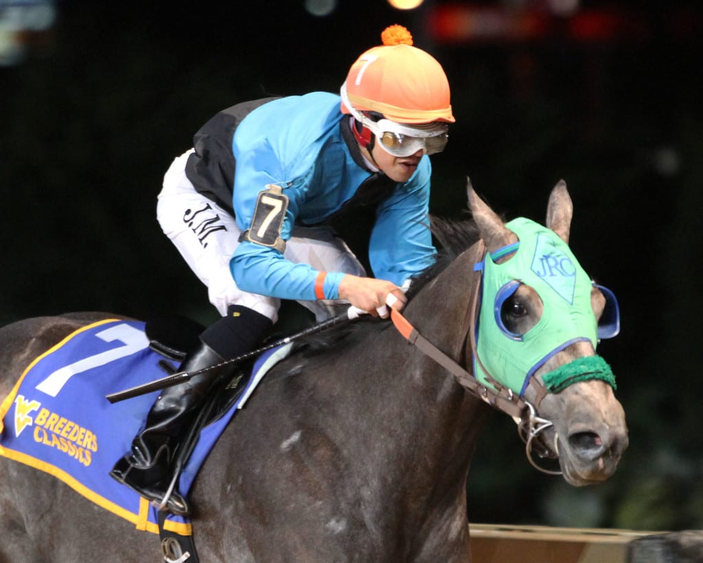 Bullets Fever was all by himself in winning the Moscarelli. Photo by Coady Photography.