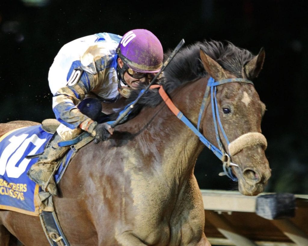 Charitable Annuity flew home to take the Classic. Photo by Coady Photography.