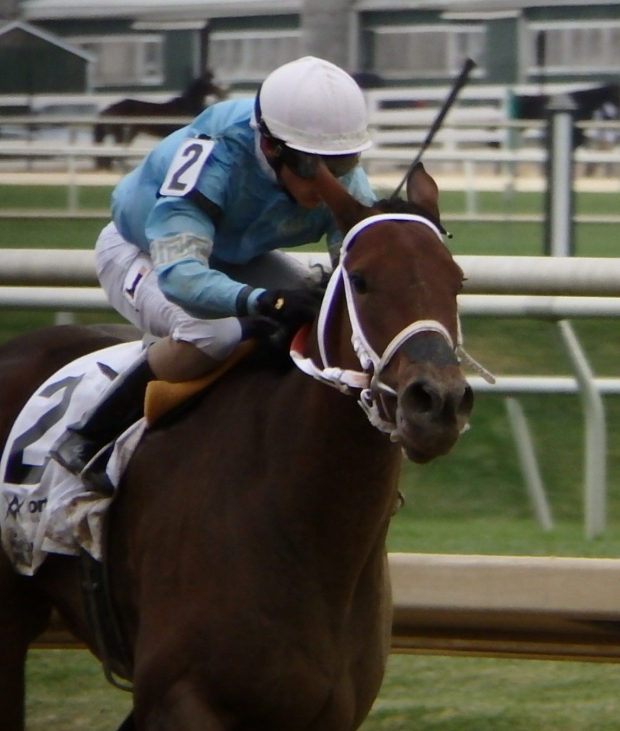 Lexington Street won the Maryland Million Lassie. Photo by The Racing Biz.