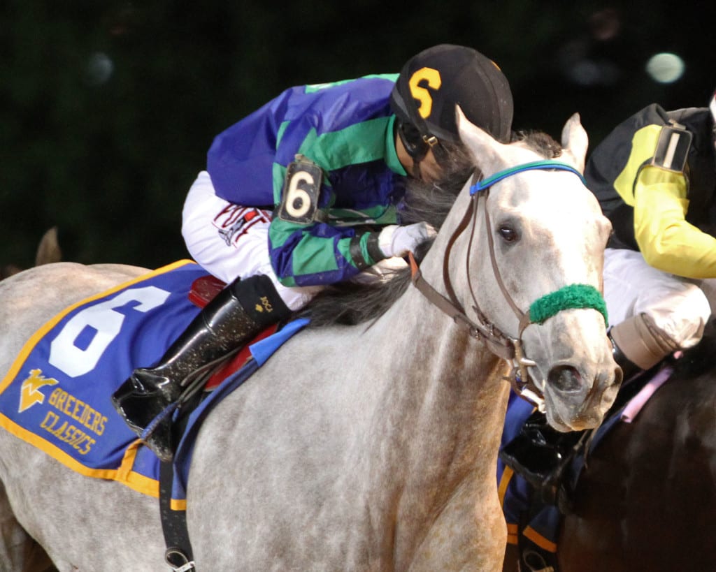 Navy Ribbon remained undefeated with a narrow score in the WV Division of Tourism. Photo by Coady Photography.