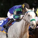 Maryland Million draws 155 nominations