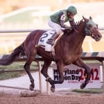 Maryland Million dashboard