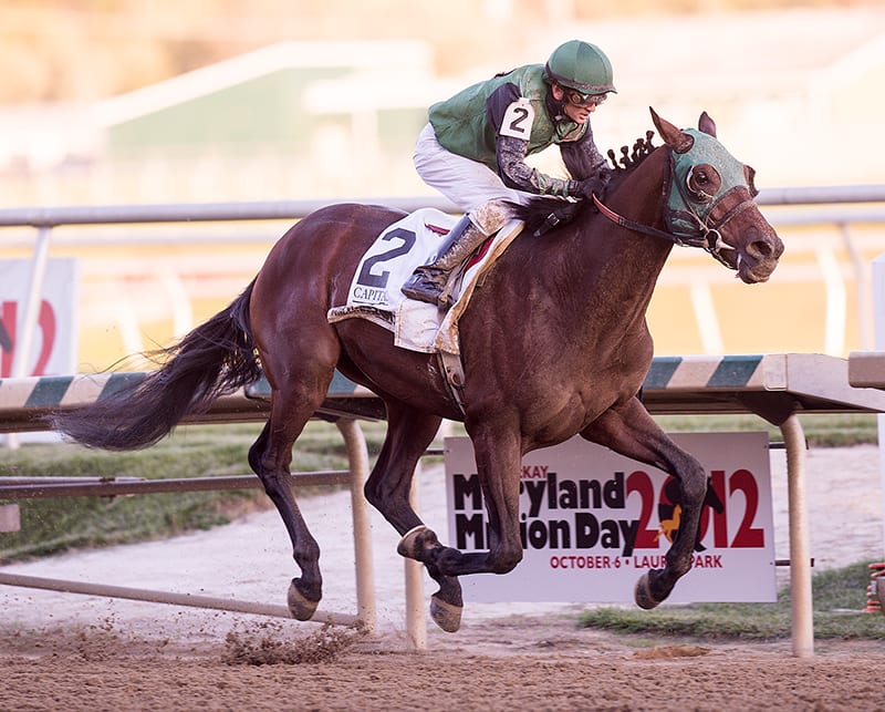 Old-timer Not Abroad returns to Maryland Million