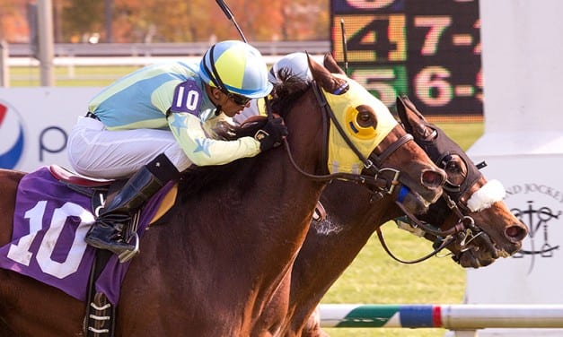 Over 200 nominated to Laurel opening weekend stakes