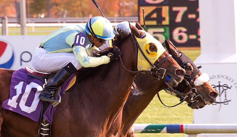 St. Albans Boy (in between, with white shadow roll) edges Perfect Title and Uncle Dave to win the Laurel Turf Cup. Photo by Jim McCue, Maryland Jockey Club.