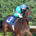 Maryland Million draws 155 nominations