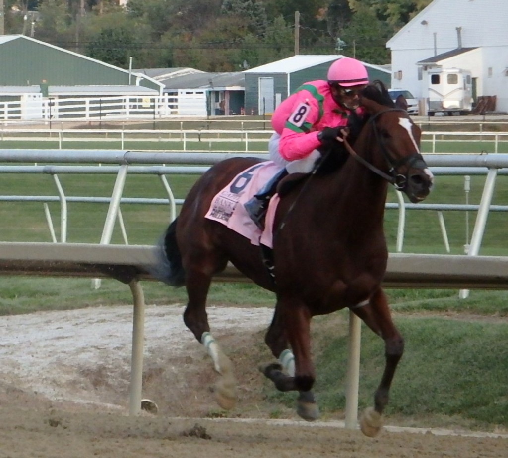 Admirals War Chest cleared early and held on late to win the Maryland Million Classic. Photo by The Racing Biz.