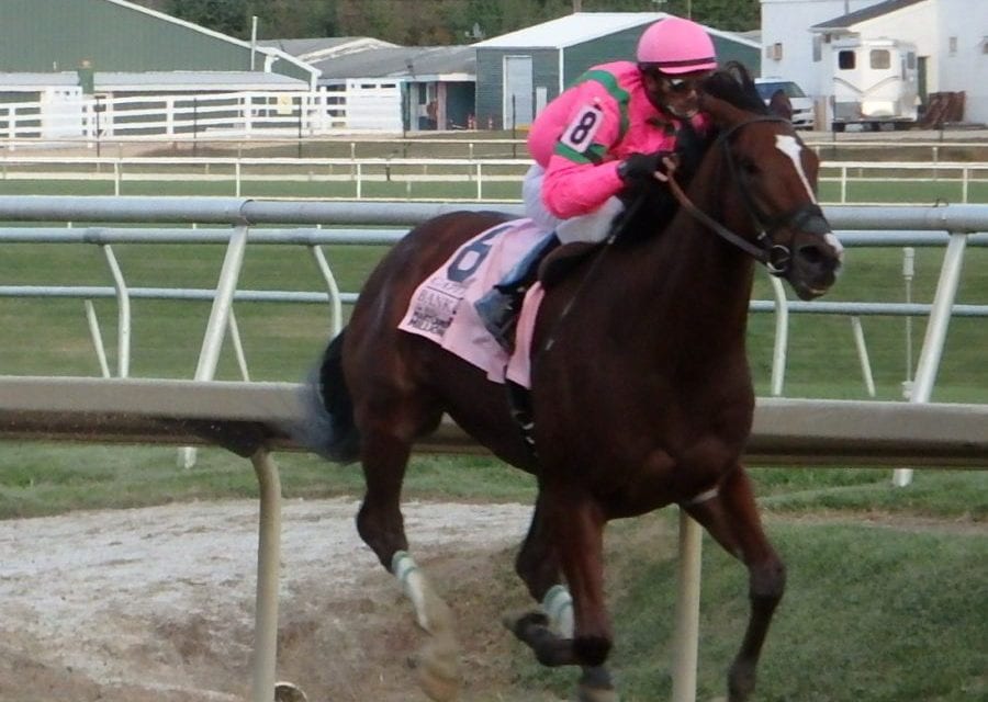 From December’s Mid-Atlantic Thoroughbred