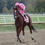 Delaware Park concludes meet with essentially flat results