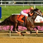 Breeders’ Cup “Off to the Races” podcast