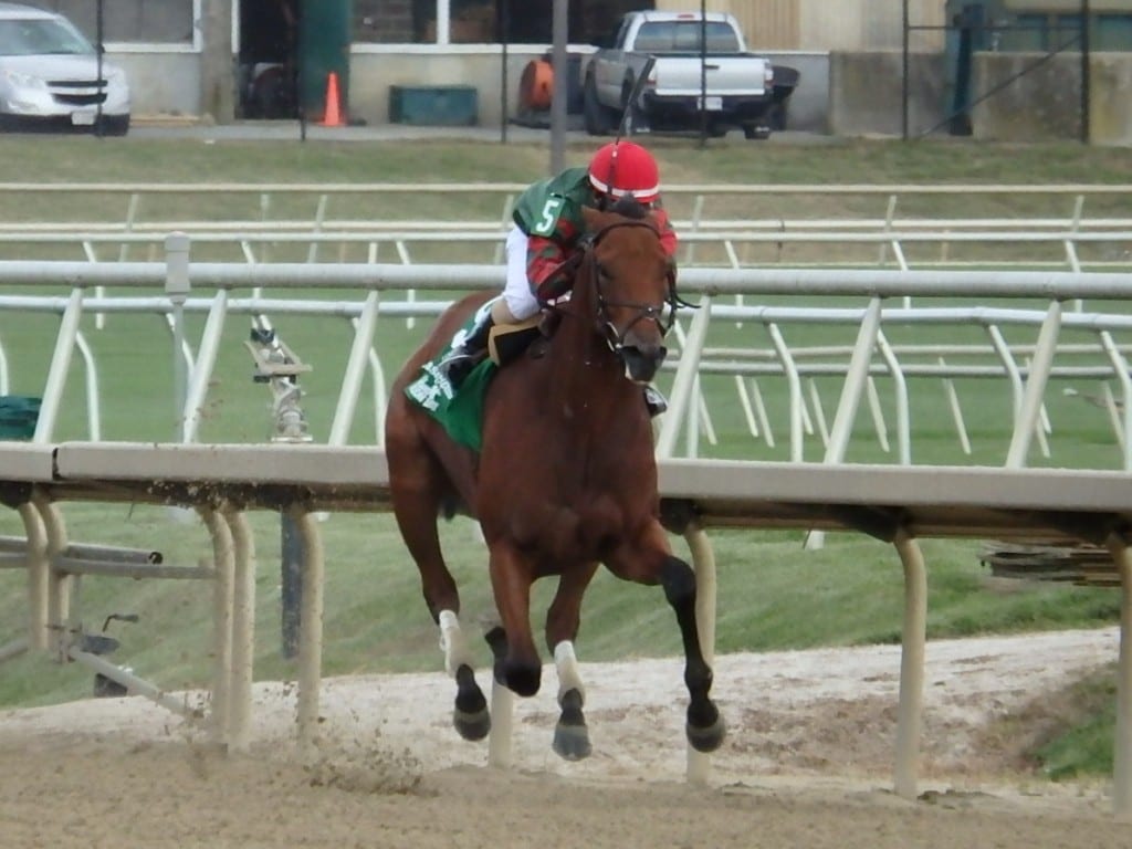 Corvus won the Maryland Million Nursery at first asking -- at odds of 25-1. Photo by The Racing Biz.