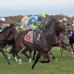 Breeders’ Cup: Watching the wagering