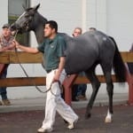 Maryland Million pre-entries due Friday