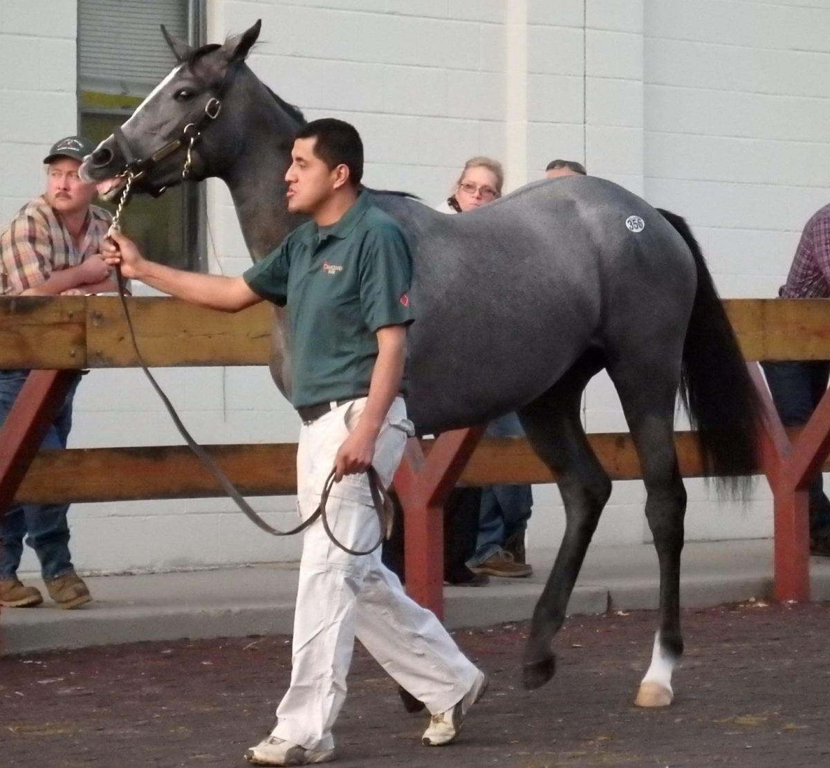 Fasig-Tipton yearling sale shows declines