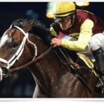 Pedigree Insights: Ben’s Cat and Ah Day