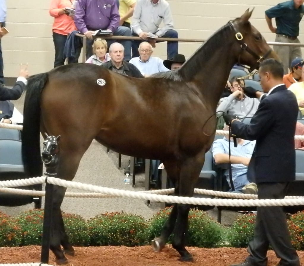 Hip 298, a filly by Uncle Mo, brought a high bid of $150,000. Photo by The Racing Biz.