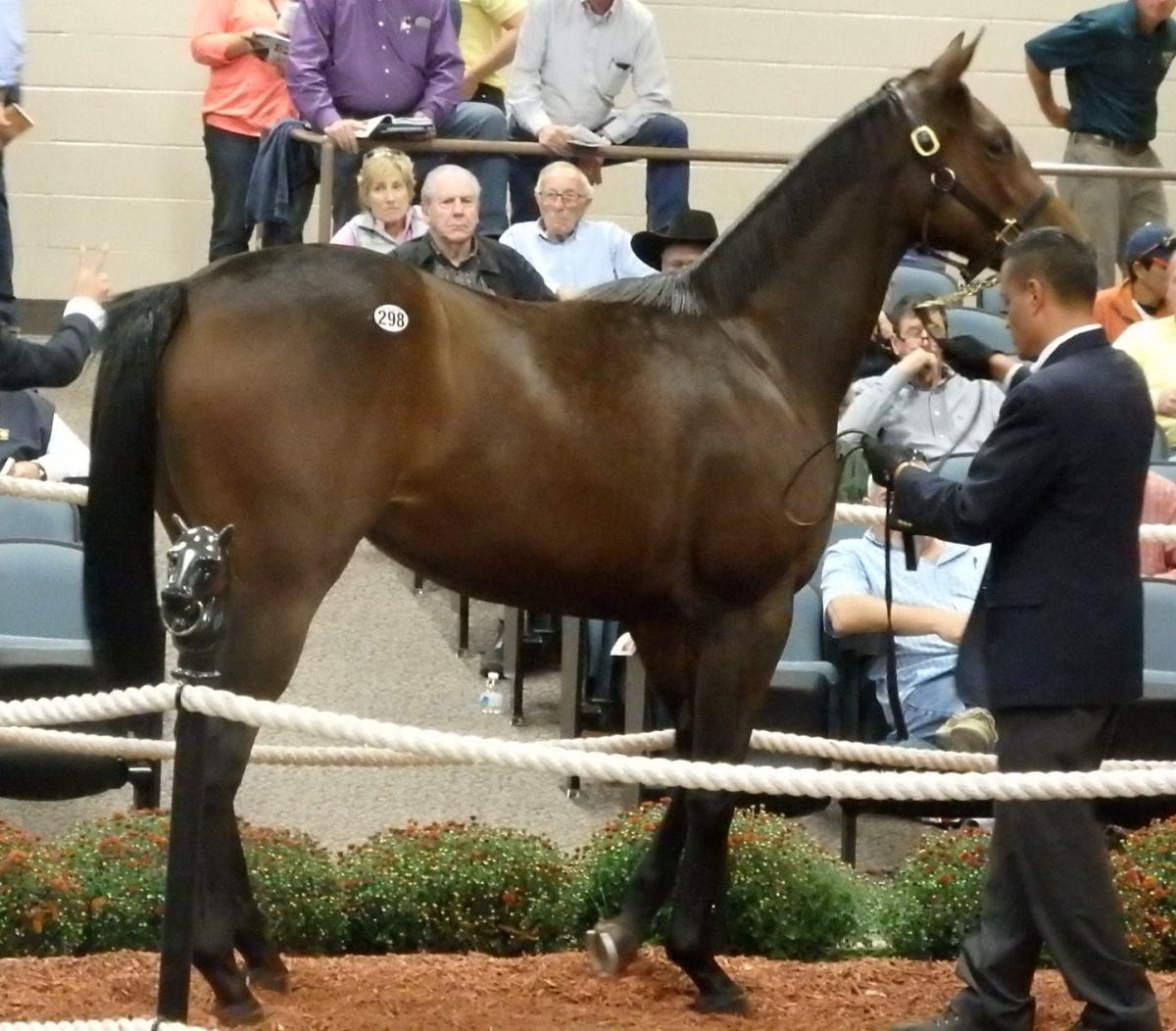 Fasig Tipton Mixed Sale by the numbers