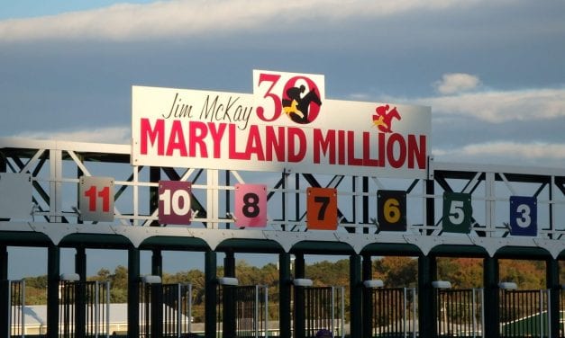 In Focus: Wagering the Maryland Million