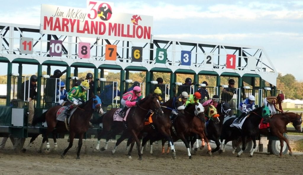 Tim Capps oversaw Maryland Million during his time at the MHBA. Photo by The Racing Biz.