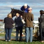 Preakness Memories: Afleet Alex and adversity