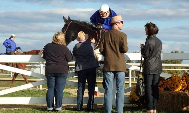 October tabbed Maryland Horse Month