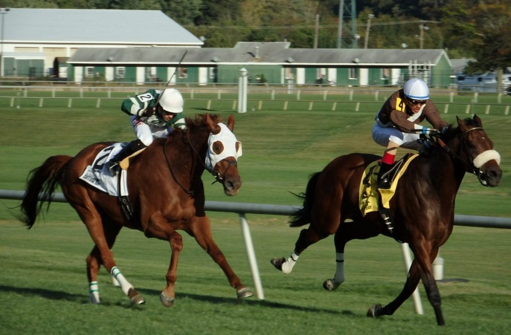 Phlash Phelps held off Roadhog to win the Maryland Million Turf. Photo by The Racing Biz.