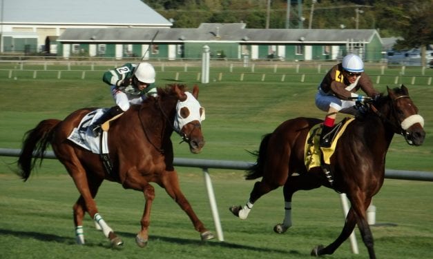 Over 100 nominated to Pimlico closing weekend stakes