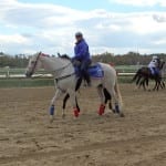 Fan favorites look for best stride at Penn National