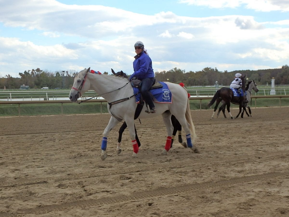 Laurel Park: Thanksgiving means carryovers and pies