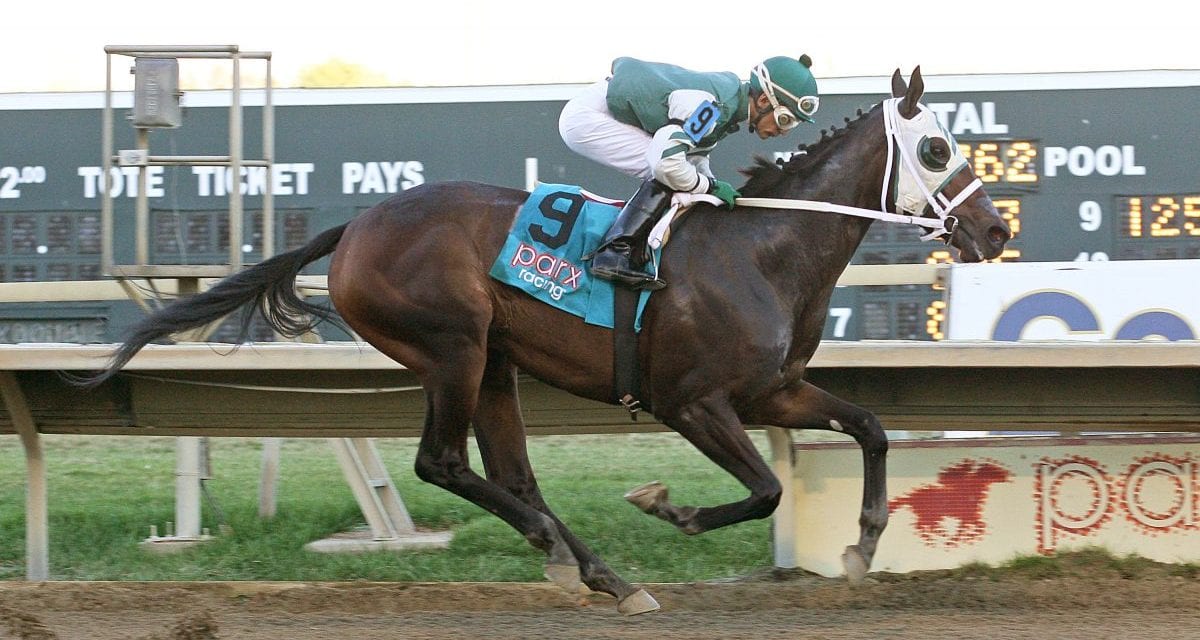 Eighth Wonder Parx