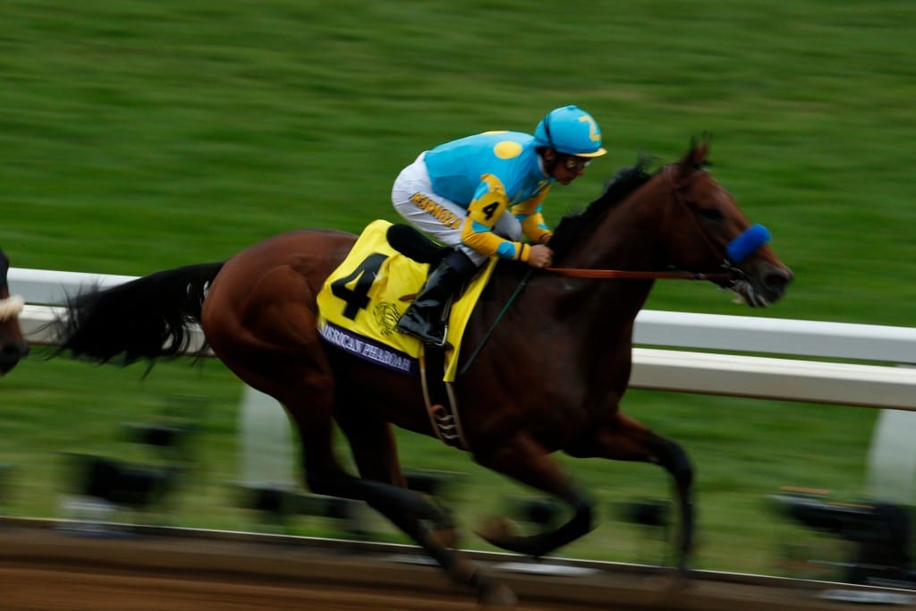 Lexington, KY - Keeneland - American Pharoah with Victor Espinoza aboard wins the $5 Million Breeders' Cup Classic for trainer Bob Baffert and owner Zayat Stables here today, Saturday October 31, 2015 during the Breeders' Cup World Thoroughbred Championships. Photo by © Breeders' Cup/Todd Buchanan 2015