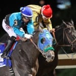 Breeders’ Cup rewind: Saturday’s Midlantic results