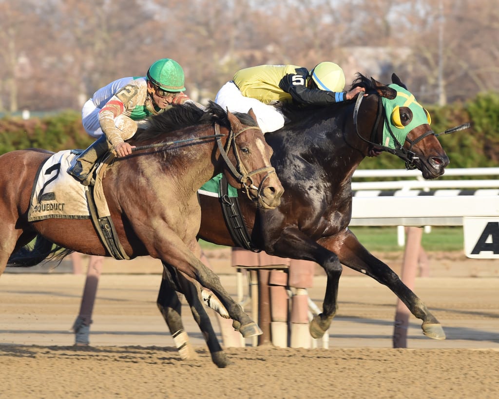 Green Gratto (inside) held on to win the G3 Fall Highweight on Thanksgiving Day. Photo by NYRA.