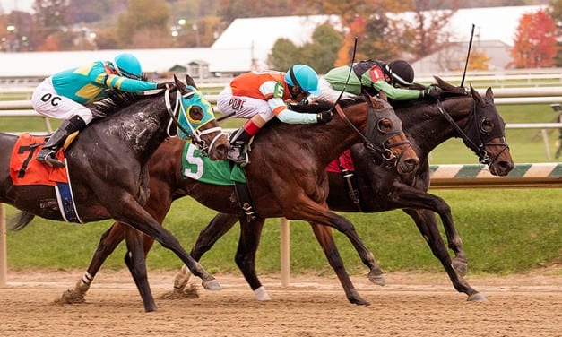 Laurel Park to host Claiming Crown Preview Day
