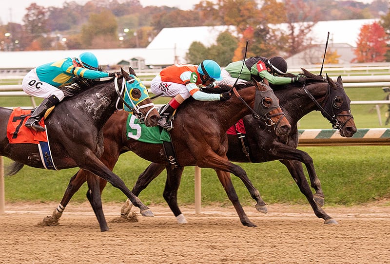 Indycott (inside) won a three-horse photo for the win in Sunday's Claiming Crown Preview at Laurel Park. Photo by Jim McCue, Maryland Jockey Club.