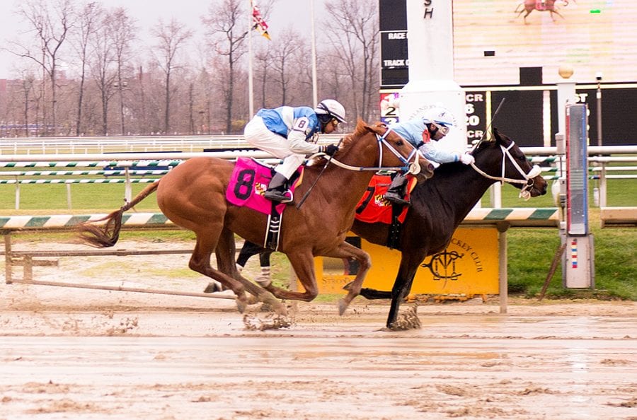 O! Showalter wins Laurel Park debut