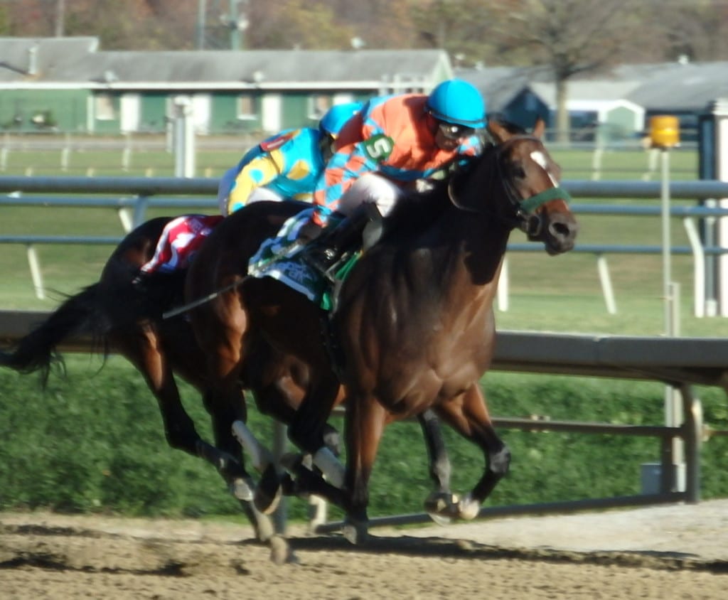 Awesome Speed prevailed in a hard-fought running of the James F. Lewis, for two-year-olds. Photo by The Racing Biz.