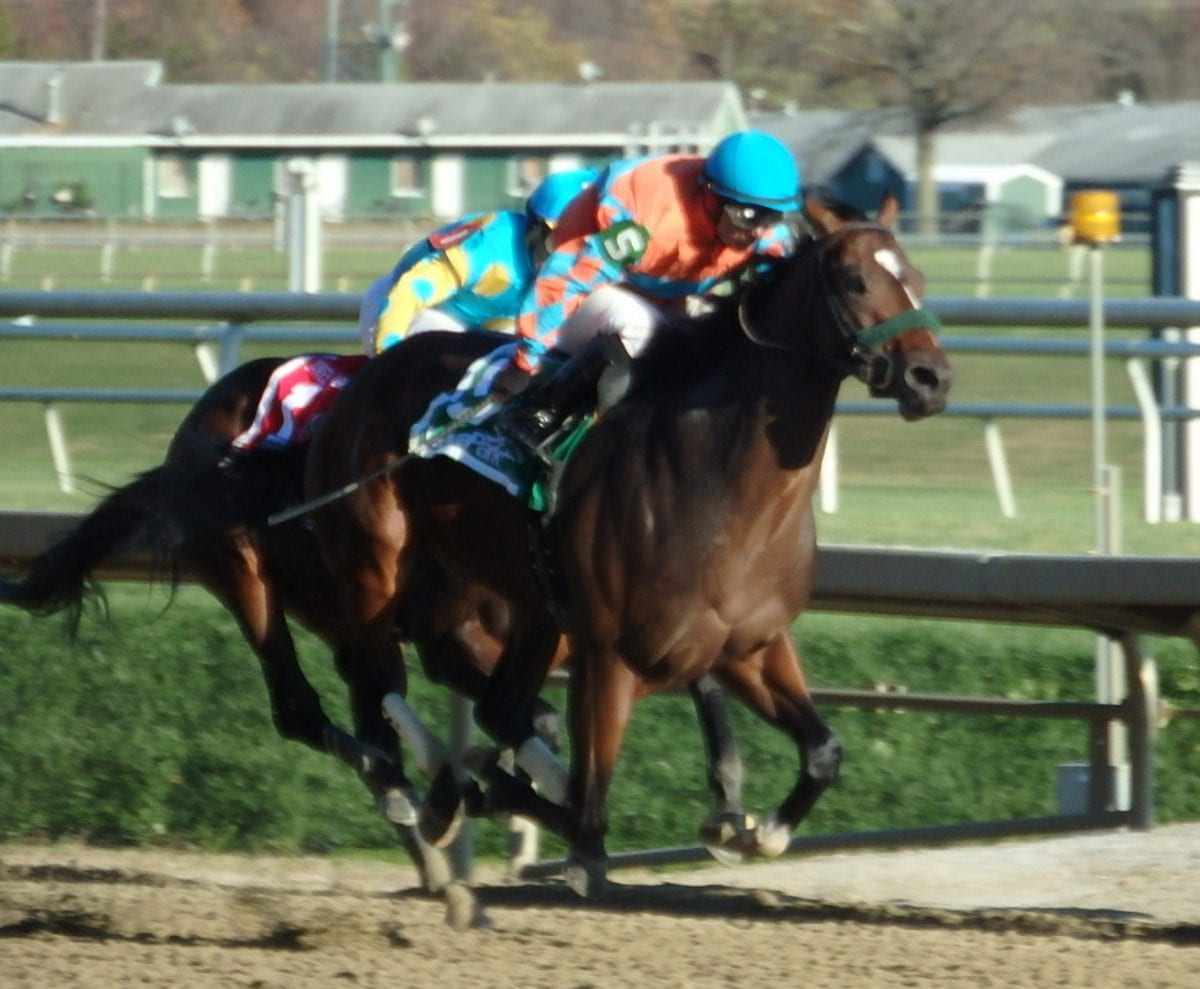 Awesome Speed, Lost Raven notch 2yo stakes scores