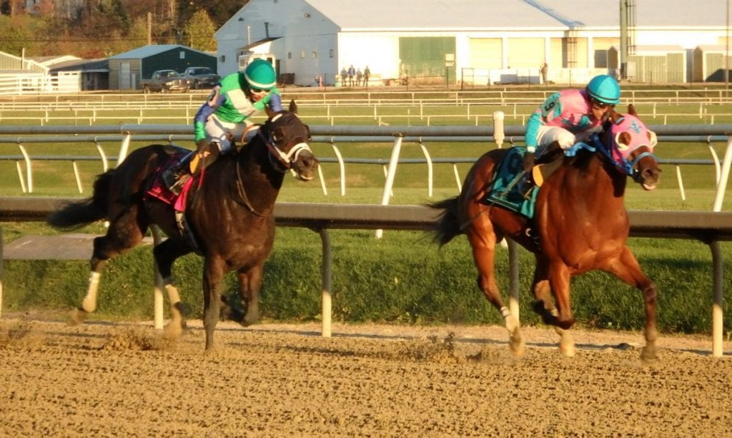 Gentlemen's Bet (#8) was placed first via disqualification after chasing Trouble Kid around the track. Photo by The Racing Biz.